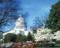 Washington D.C.
