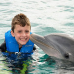 kiddolphin dolphin and kid