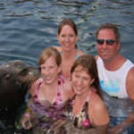 sea lion