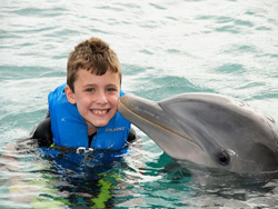 Kid With Dolphin